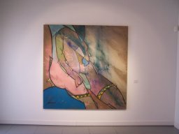 Museo Casa Pintada 2004